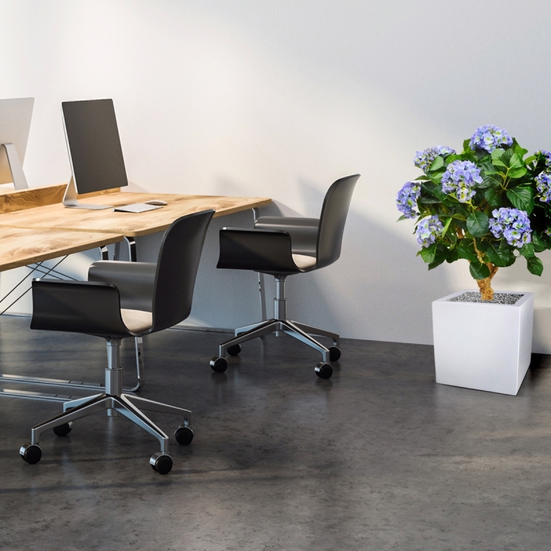 Ortensia Deluxe su tronco 90 cm blu