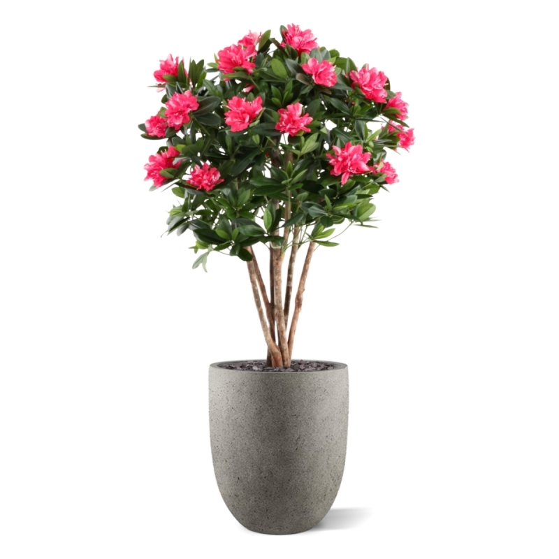 Rododendro Deluxe Artificiale 115cm Cerise