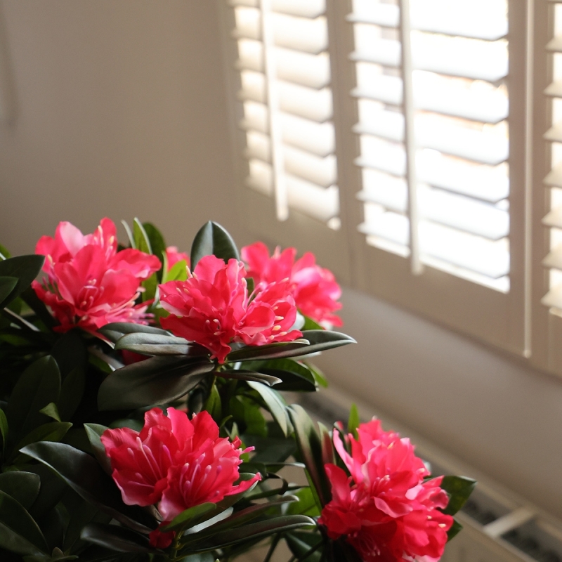 Rododendro Deluxe Artificiale 115cm Cerise