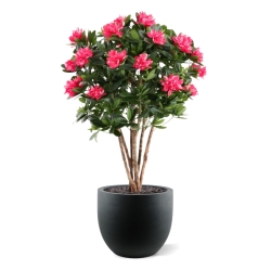 Rododendro Deluxe Artificiale 115cm Cerise