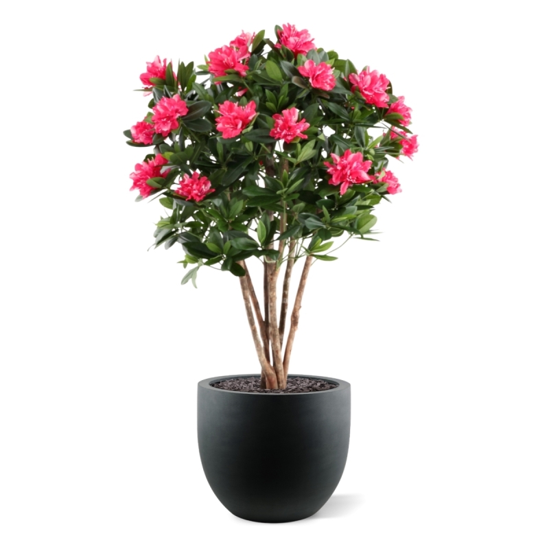 Rododendro Deluxe Artificiale 115cm Cerise