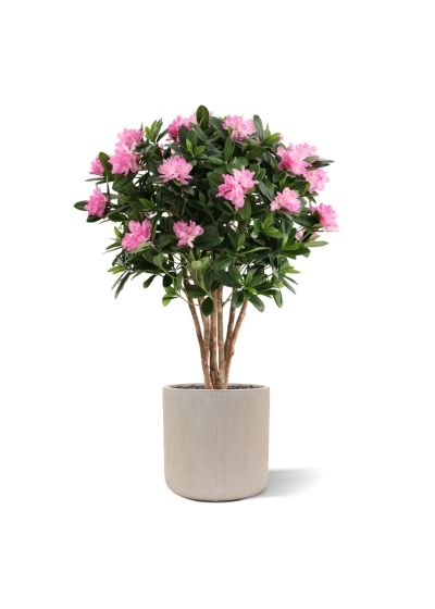 Rododendro Deluxe Artificiale 115cm Viola
