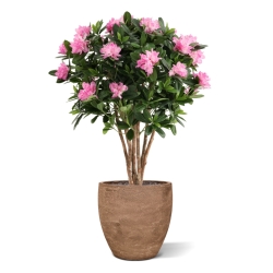 Rododendro Deluxe Artificiale 115cm Viola