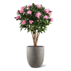 Rododendro Deluxe Artificiale 115cm Viola