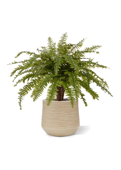 Felce di Boston XL pianta artificiale Delu