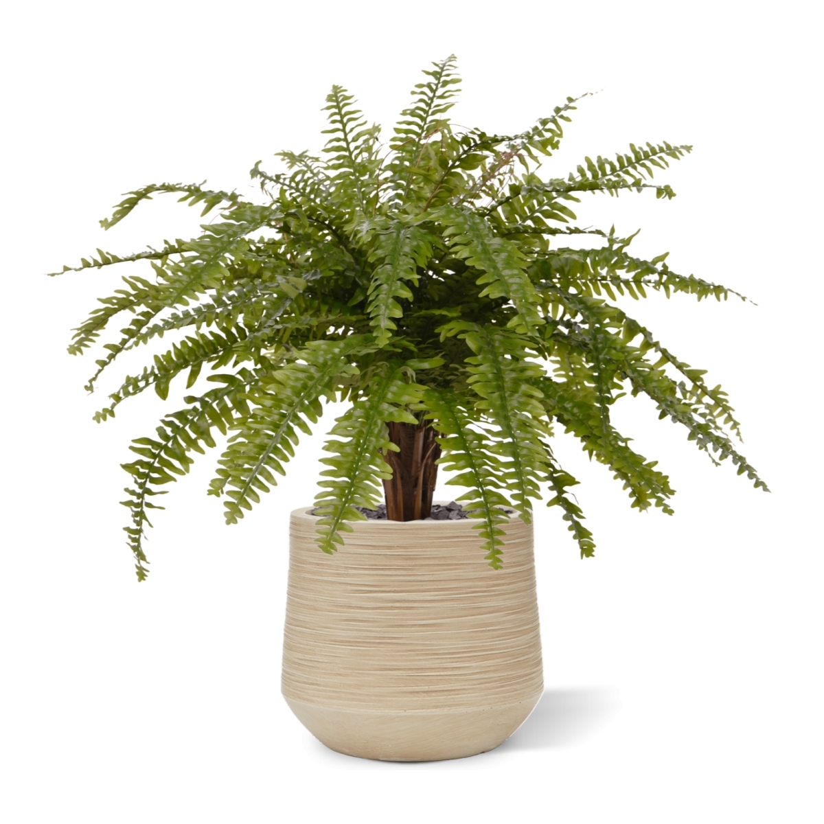 Felce di Boston XL pianta artificiale Delu