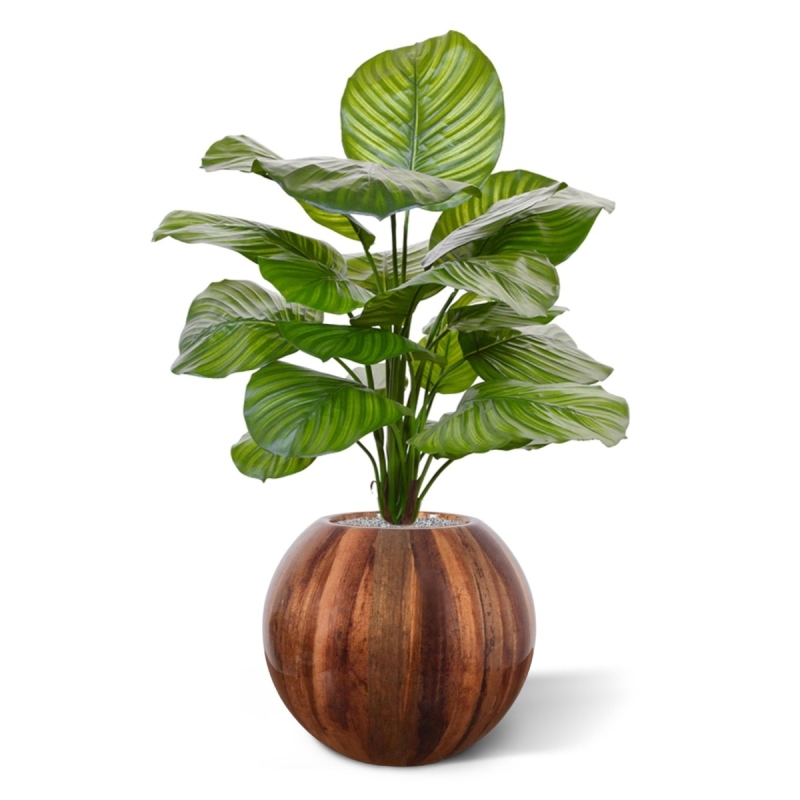 Calathea Fasciata pianta artificiale 70 cm