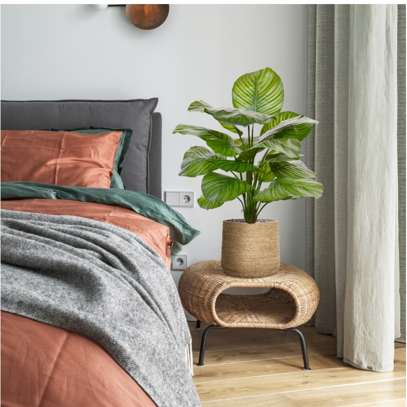 Calathea Fasciata pianta artificiale 70 cm