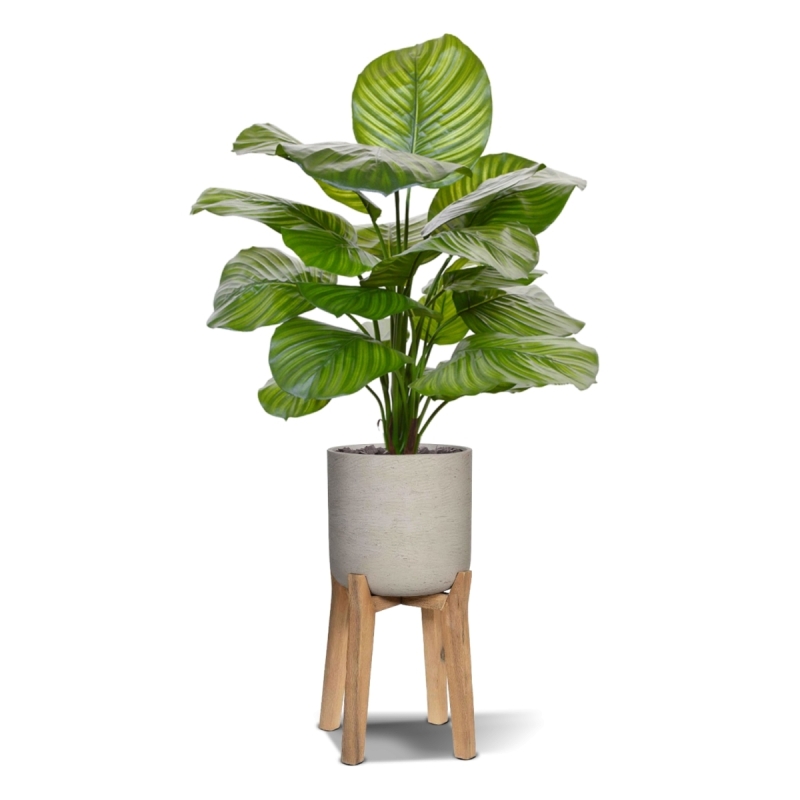 Calathea Fasciata pianta artificiale 70 cm