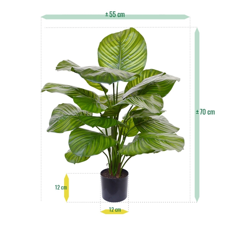Calathea Fasciata pianta artificiale 70 cm