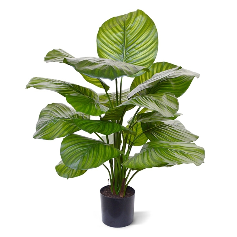 Calathea Fasciata pianta artificiale 70 cm