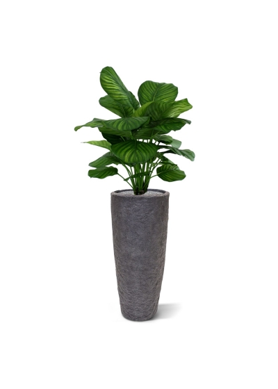 Calathea Fasciata pianta artificiale 80cm