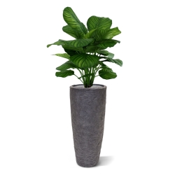 Calathea Fasciata pianta artificiale 80cm