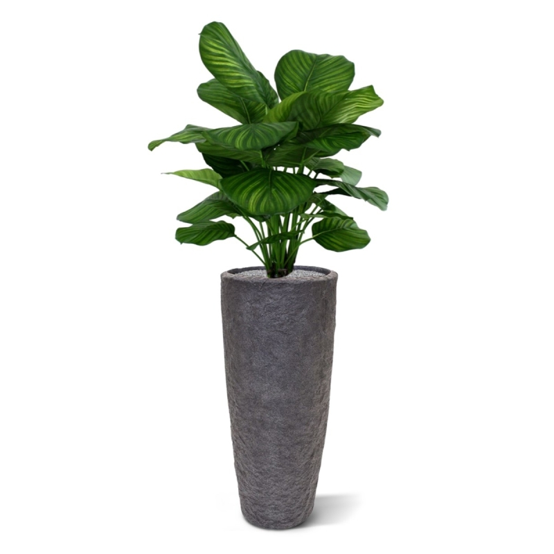 Calathea Fasciata pianta artificiale 80cm