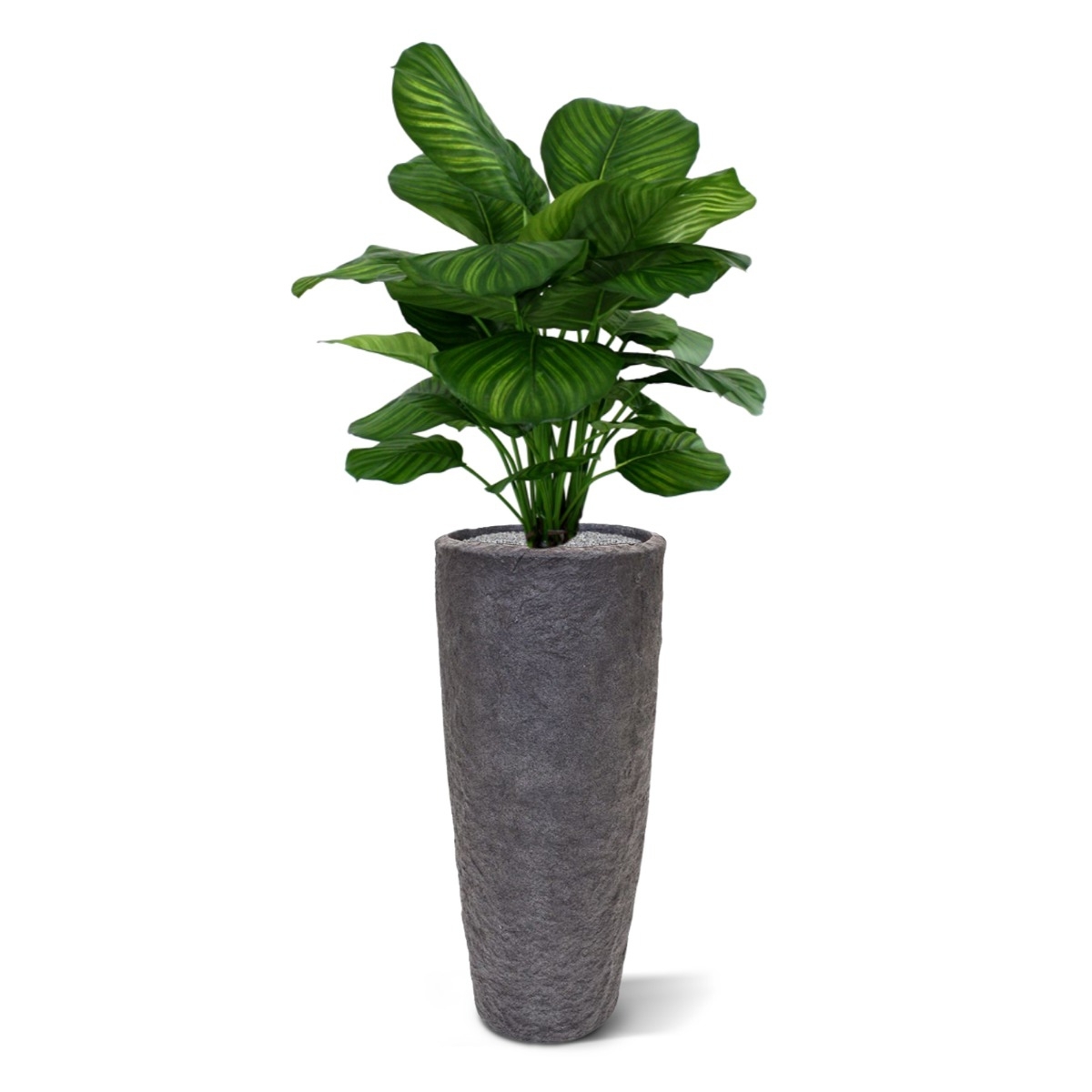 Calathea Fasciata pianta artificiale 80cm