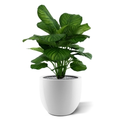 Calathea Fasciata pianta artificiale 80cm
