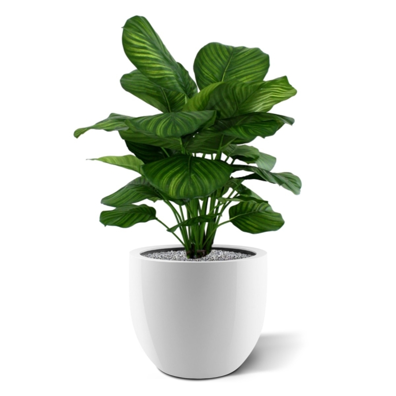 Calathea Fasciata pianta artificiale 80cm