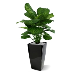 Calathea Fasciata pianta artificiale 80cm