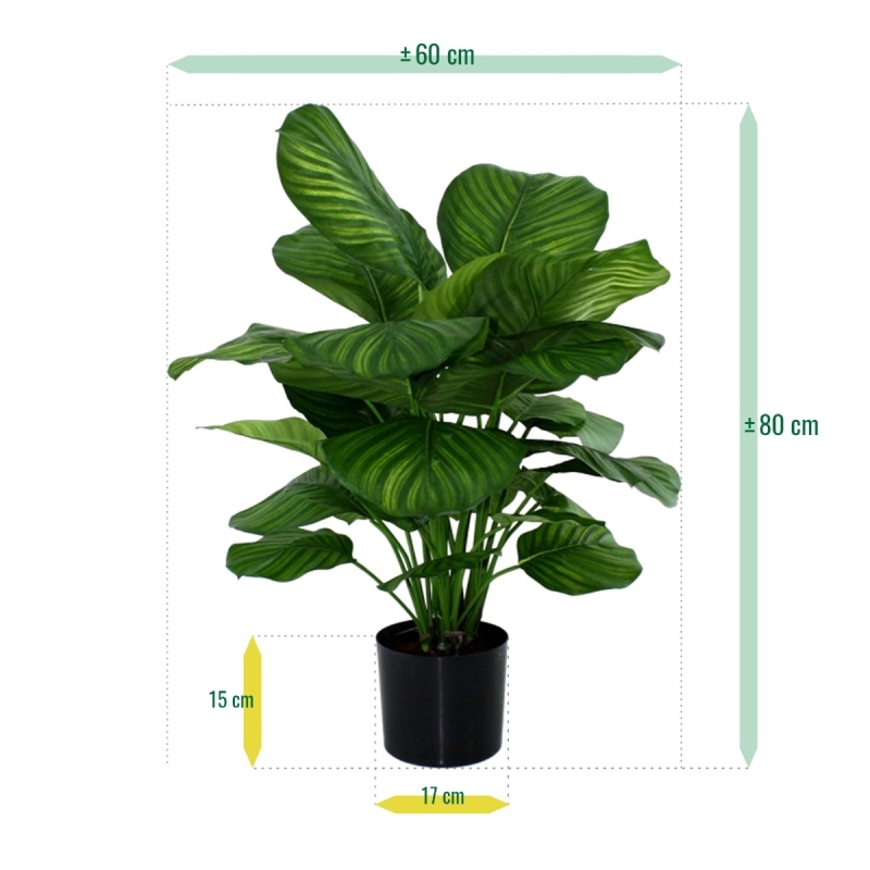 Calathea Fasciata pianta artificiale 80cm