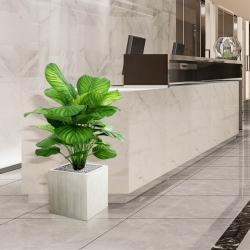 Calathea Fasciata pianta artificiale 80cm