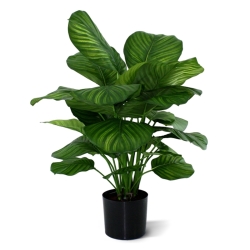 Calathea Fasciata pianta artificiale 80cm
