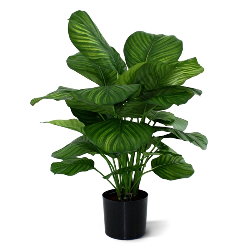 Calathea Fasciata pianta artificiale 80cm
