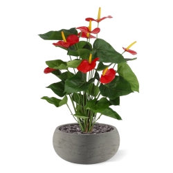 Pianta artificiale di Anthurium 60 cm - rosso