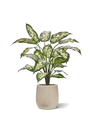 Pianta Dieffenbachia Artificiale 60cm Deluxe