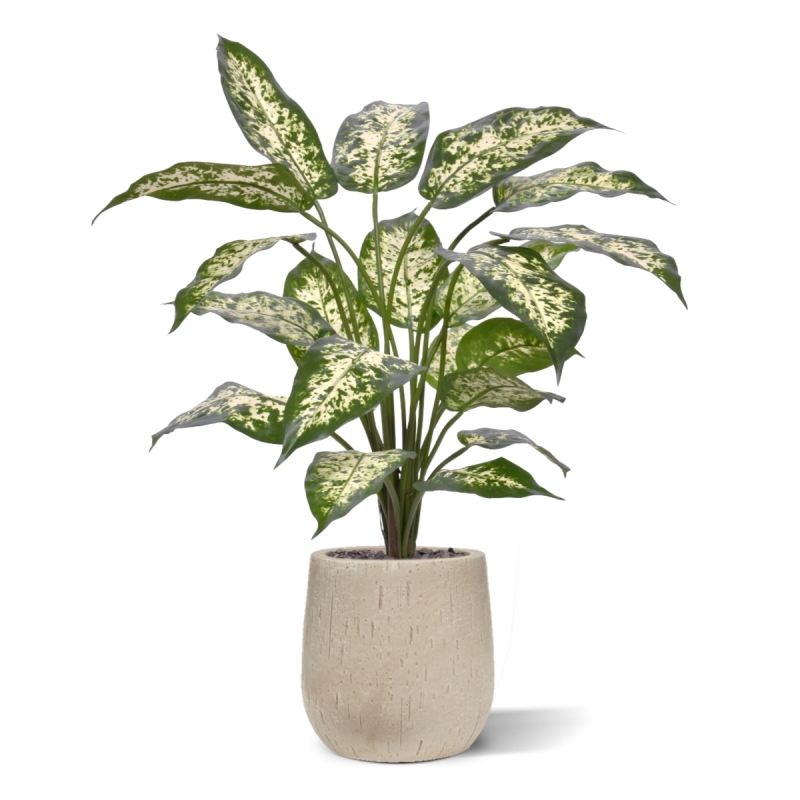 Pianta Dieffenbachia Artificiale 60cm Deluxe