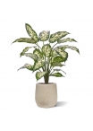 Pianta Dieffenbachia Artificiale 60cm Deluxe