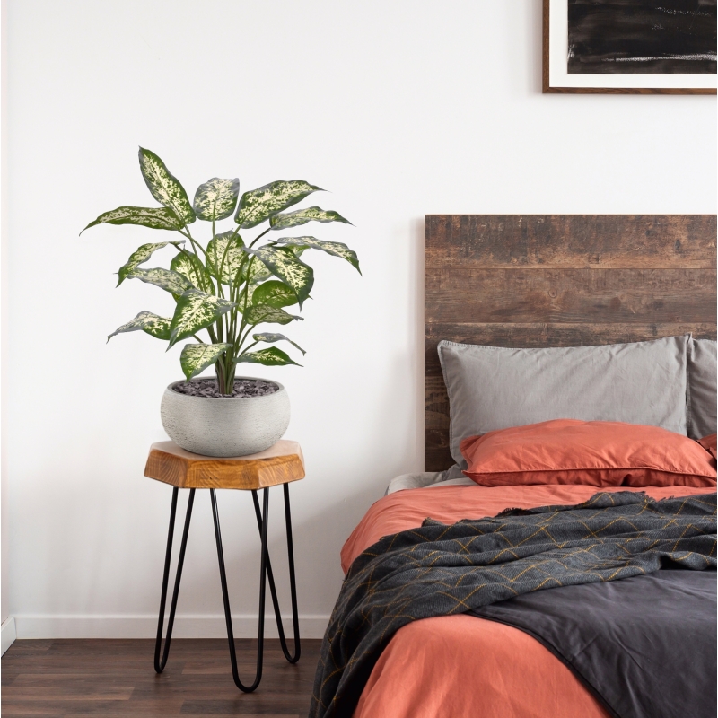 Pianta Dieffenbachia Artificiale 60cm Deluxe