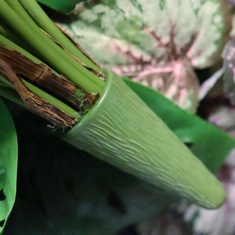 Pianta Dieffenbachia Artificiale 60cm Deluxe