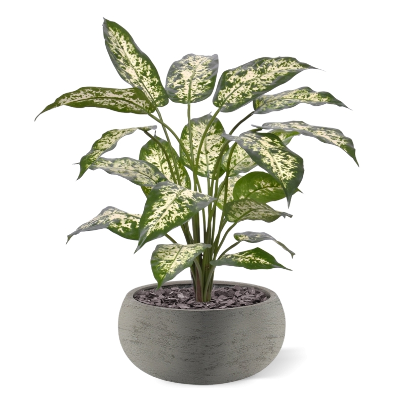 Pianta Dieffenbachia Artificiale 60cm Deluxe
