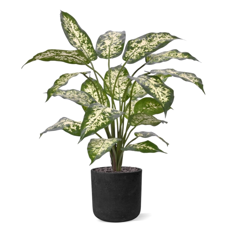 Pianta Dieffenbachia Artificiale 60cm Deluxe