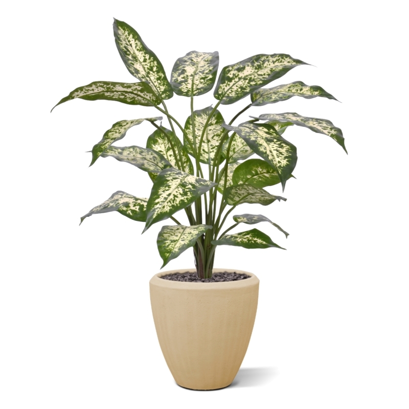 Pianta Dieffenbachia Artificiale 60cm Deluxe