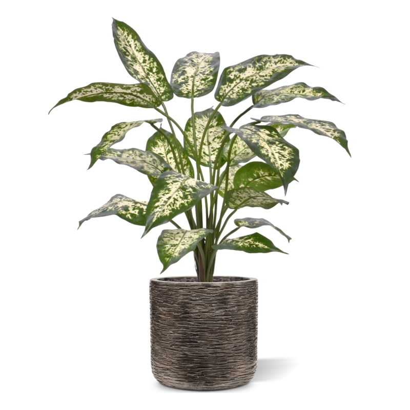 Pianta Dieffenbachia Artificiale 60cm Deluxe