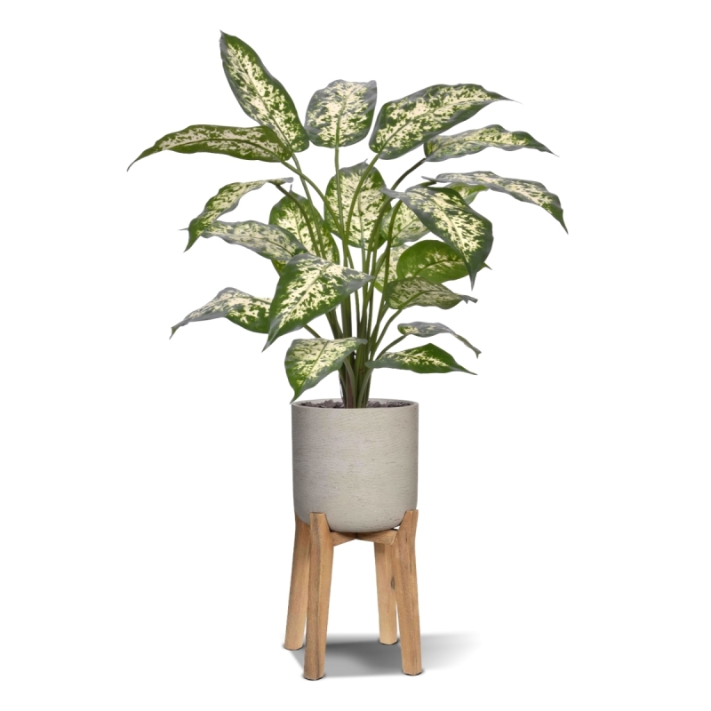 Pianta Dieffenbachia Artificiale 60cm Deluxe