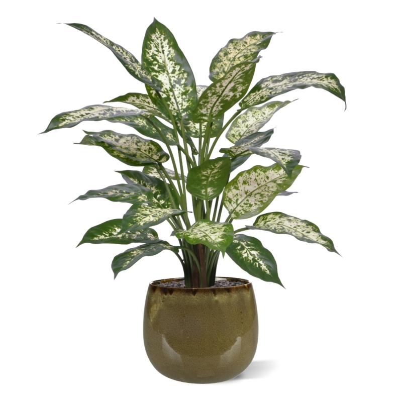Pianta Artificiale Dieffenbachia Deluxe 60cm in vaso