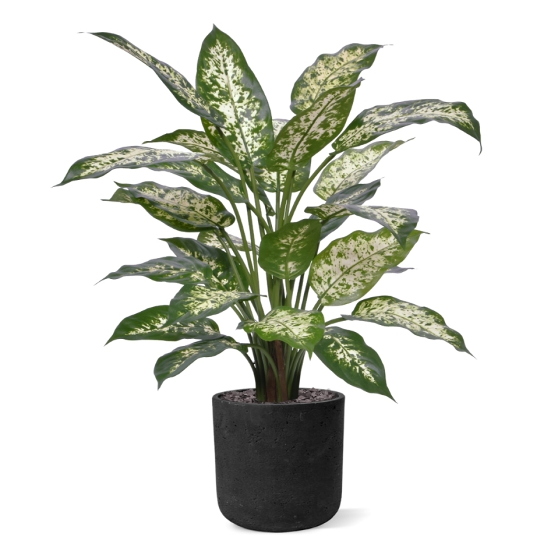 Pianta Artificiale Dieffenbachia Deluxe 60cm in vaso