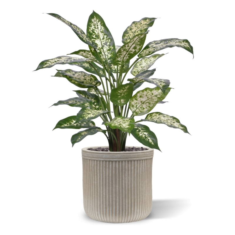 Pianta Artificiale Dieffenbachia Deluxe 60cm in vaso