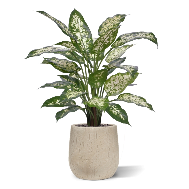 Pianta Artificiale Dieffenbachia Deluxe 60cm in vaso