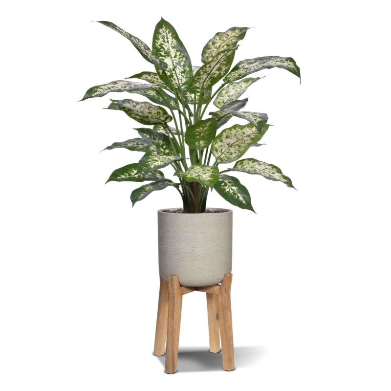 Pianta Artificiale Dieffenbachia Deluxe 60cm in vaso
