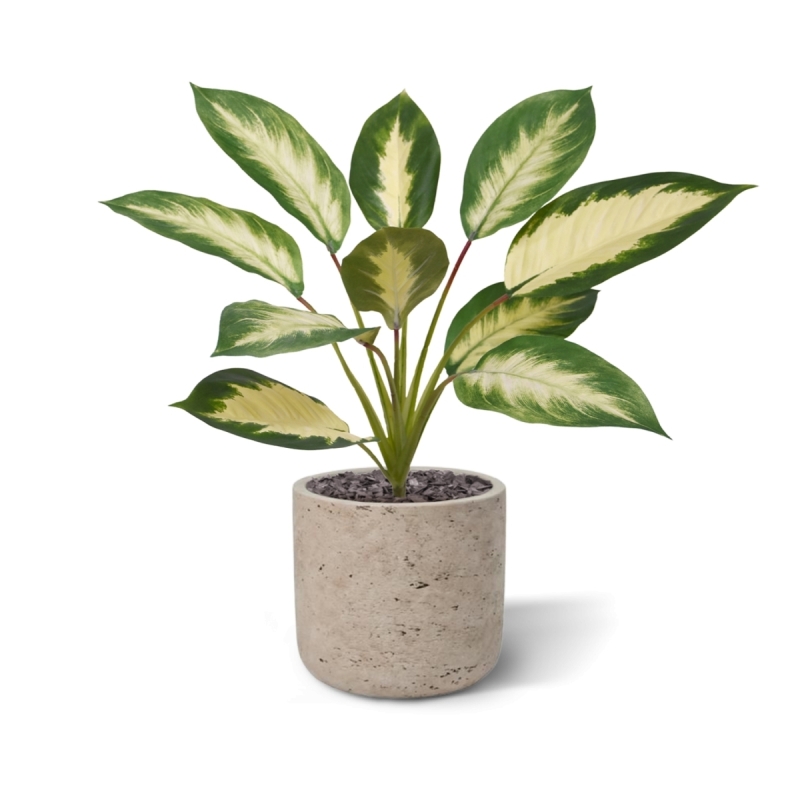 Dieffenbachia Camilla pianta artificiale 50cm