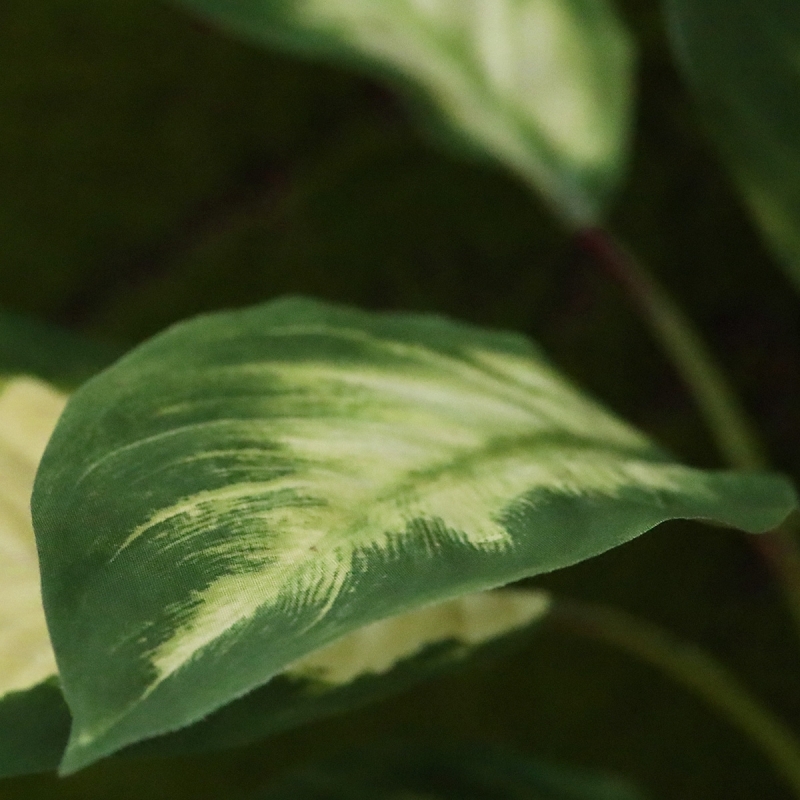 Dieffenbachia Camilla pianta artificiale 50cm
