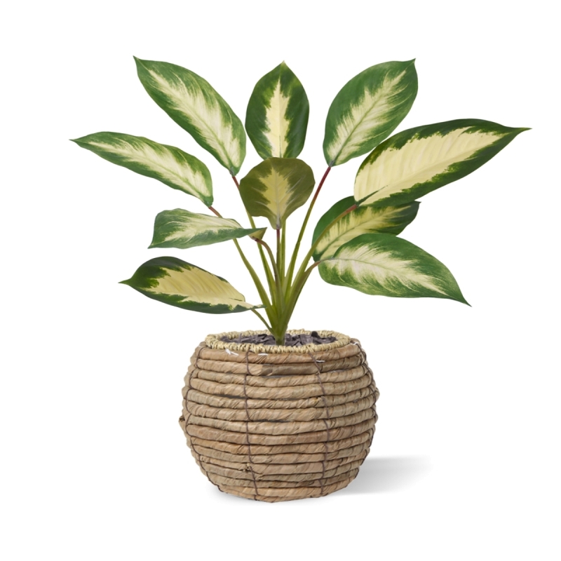 Dieffenbachia Camilla pianta artificiale 50cm