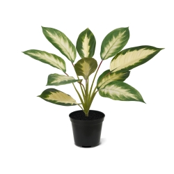 Dieffenbachia Camilla pianta artificiale 50cm