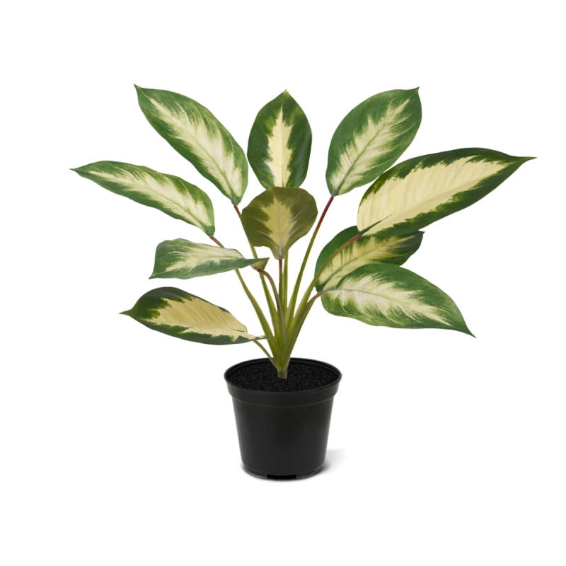 Dieffenbachia Camilla pianta artificiale 50cm