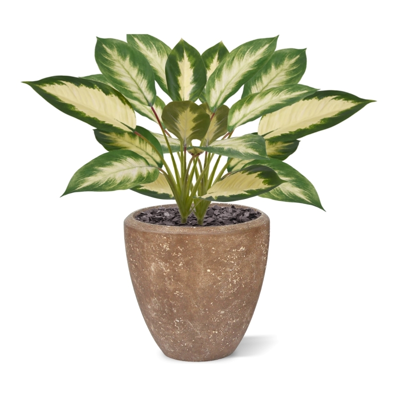 Dieffenbachia Camilla pianta artificiale 50cm