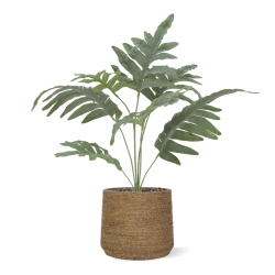 Felce Phlebodium Blu Artificiale 60cm