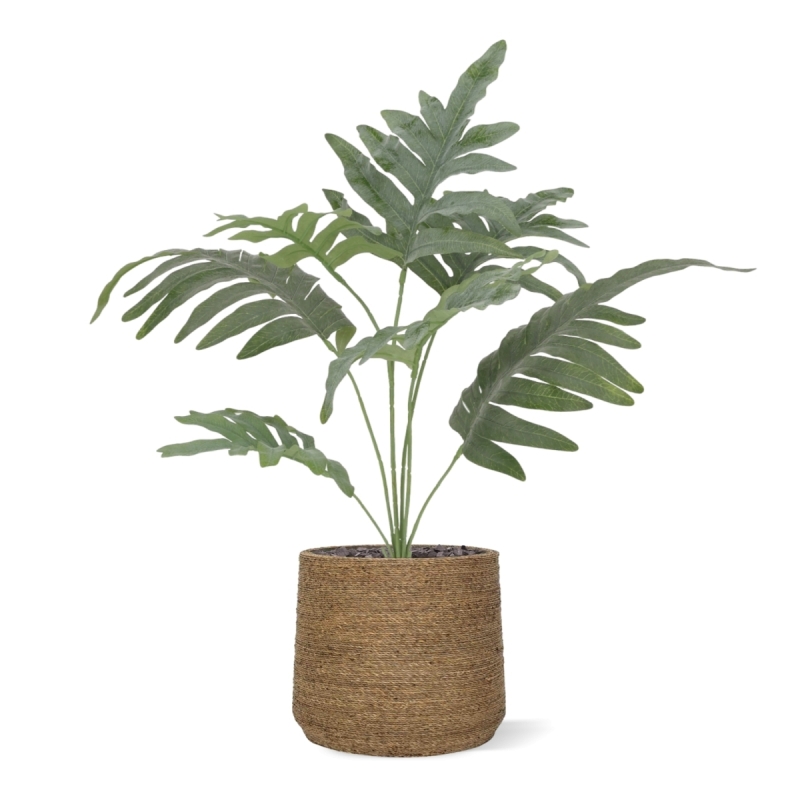 Felce Phlebodium Blu Artificiale 60cm